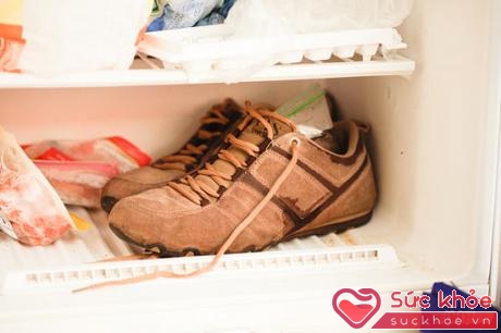 Để giày da lộn vào tủ lạnh khi bị dính kẹo cao su