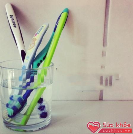 Bàn chải đánh răng không sạch sẽ là nguồn truyền nhiễm nhiều loại bệnh tật