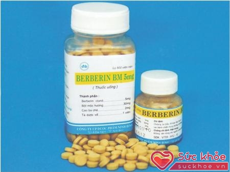 Phụ nữ có thai thì không nên dùng berberin