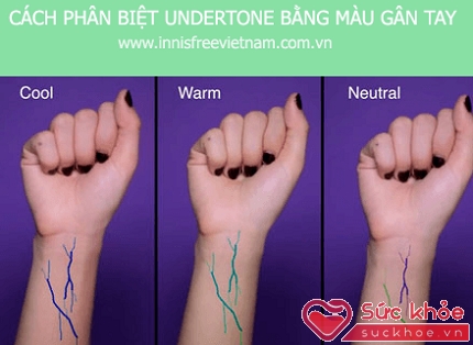 Dựa vào màu sắc của mạch máu ở cổ tay sẽ xác định được undertone của bạn