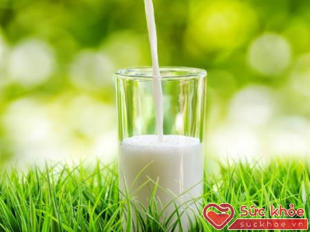 Sữa kích thích sản xuất nước bọt, giảm thiểu sự hình thành mảng bựa bám vào răng