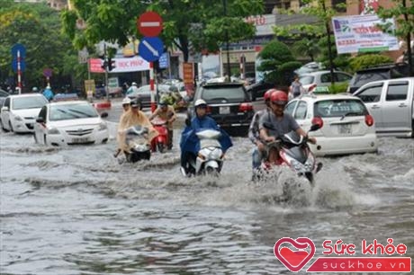 Mùa mưa, xe cộ thường xuyên phải đi vào những nơi ngập nước