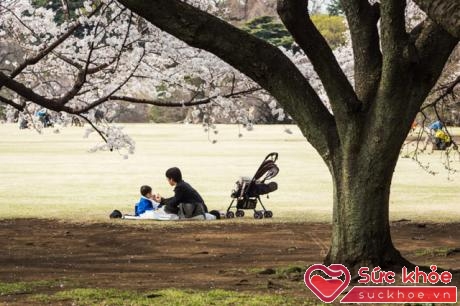 Cha mẹ và con cái ở Nhật thường xuyên có các buổi dã ngoại ngoài trời cùng nhau vào cuối tuần