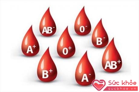 B- là nhóm máu khá hiếm, chỉ gặp ở 2% dân số thế giới