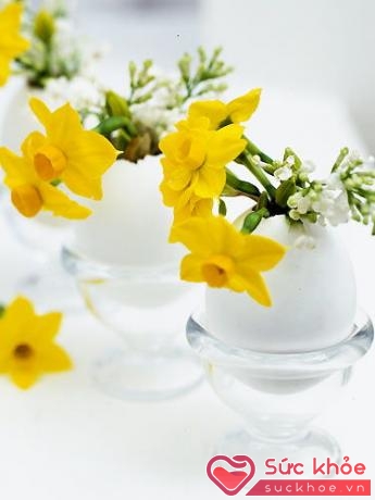 Mẫu cắm hoa thủy tiên độc đáo từ những chiếc vỏ trứng