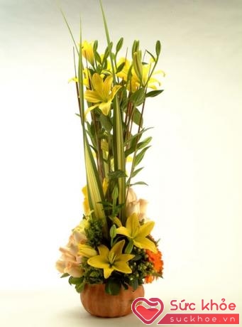 Trong các kiểu hoa để bàn ngày Tết không thể bỏ qua mẫu hoa ly vàng đầy kiêu hãnh này