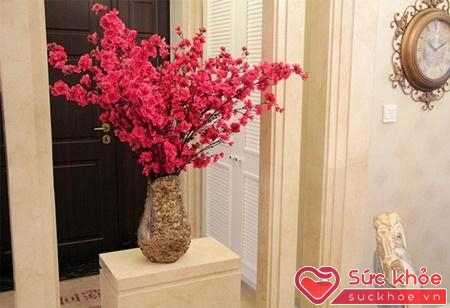 Hoa đào mang hơi thở mùa xuân đến cho không gian nhà bạn