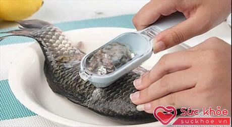 Cá có vảy mềm thì không nên cạo bỏ, ăn cả vảy sẽ thêm phần dinh dưỡng
