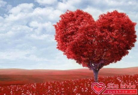 Trái tim được xem là biểu tượng của tình yêu