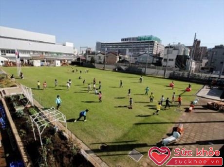 Ở trường mầm non Nhật Bản, trẻ đến trường chỉ để vui chơi