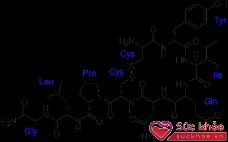 Cấu trúc phân tử oxytocin