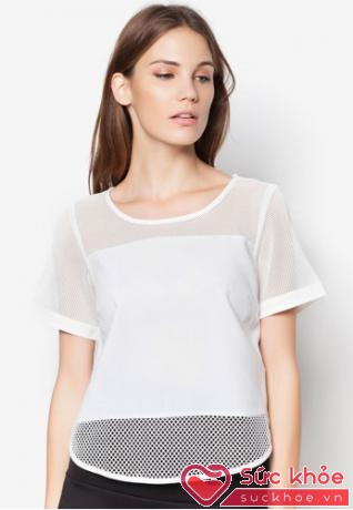 Hay bạn có thể chọn một chiếc áo trắng phối lưới như này