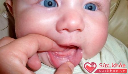 Mat - xa lợi cho bé bằng ngón tay sẽ giảm đau khi bé mọc răng.