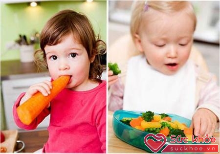 Nên cho trẻ ăn nhiều rau xanh