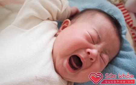 Khi bạn nghe trẻ sơ sinh khóc, thực ra là chúng chỉ đang la hét