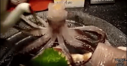 Con bạch tuộc lặn lộn trên chảo khiến nhiều người nhìn thôi đã thấy sợ.