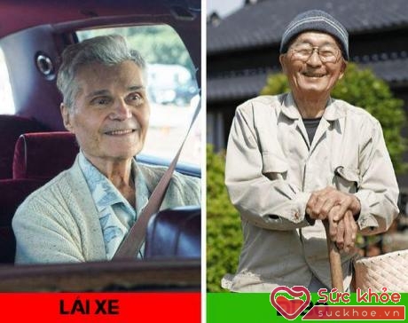 6 thói quen giúp người Nhật sống thọ bậc nhất, ai áp dụng được dễ sống lâu khỏe mạnh - 7