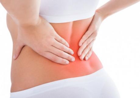 Lá ngải cứu - Phương pháp dân gian chữa đau lưng hiệu quả ngay tại nhà