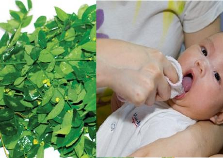 Cách chữa bệnh tưa lưỡi cho trẻ sơ sinh bằng rau ngót hiệu quả