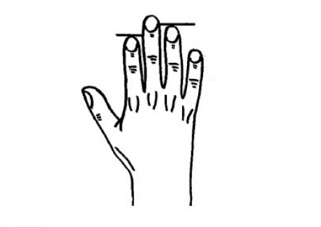 Tiết lộ tính cách con người thông qua độ dài ngón tay