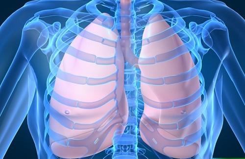 Bệnh viêm màng phổi và dấu hiệu bệnh viêm màng phổi