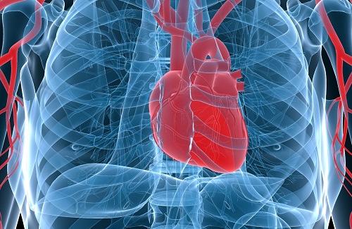 Những hướng điều trị bệnh van tim thế nào mới phù hợp?