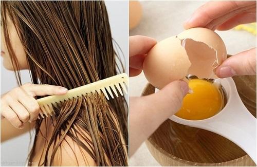 Cách dưỡng tóc bằng trứng gà đơn giản tại nhà không tốn kém