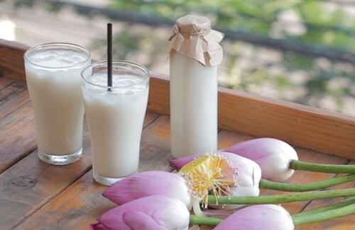 Sữa hạt sen - Thức uống vừa ngon vừa giàu dinh dưỡng tốt cho sức khỏe
