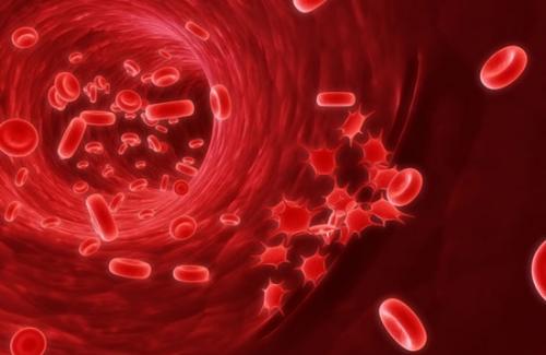 Bạch huyết cầu là gi? Phân loại và bệnh lý liên quan