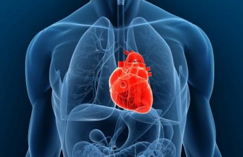 Tìm hiểu chung về ghép tim - đối tượng cần ghép tim là ai?