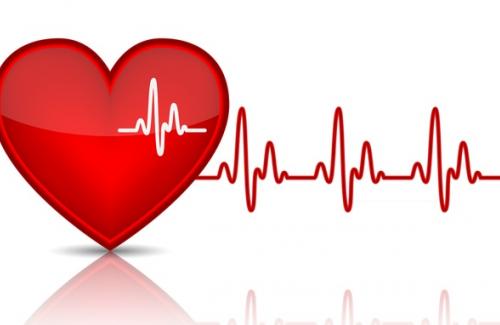 Thế nào là nhịp tim bình thường? Cách đo nhịp tim cho từng độ tuổi