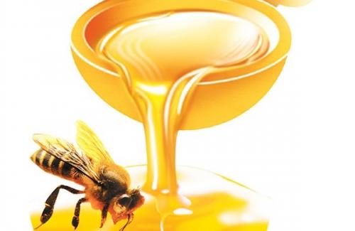 Những tác dụng chữa bệnh vô giá của mật ong bạn chưa biết