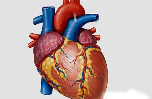 Triệu chứng thấp tim - ít gặp nhưng không được chủ quan