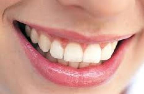 Răng là gì? Phân loại và cấu tạo của răng chúng ta không nên bỏ qua