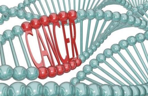 Protein sốc nhiệt chữa ung thư giai đoạn cuối - Liệu có giúp thoát án tử?