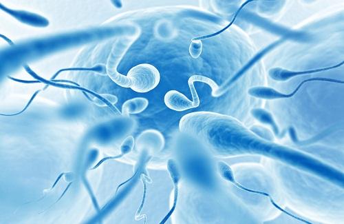 Thụ tinh nhân tạo sẽ trở nên phổ biến và thay thế quá trình thụ thai tự nhiên?
