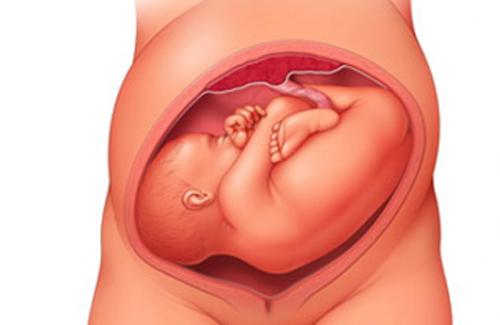 Nguyên nhân và cách xử lý ngôi thai nằm ngang mẹ bầu nào cũng phải biết