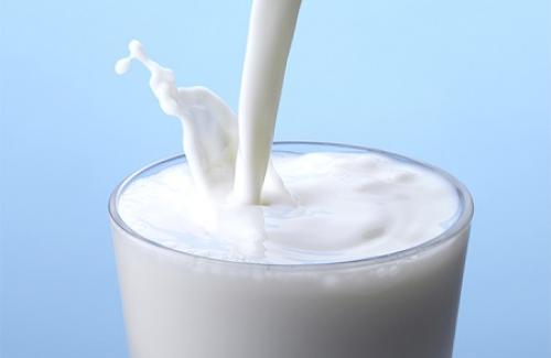 Tìm hiểu về sữa - Thành phần dinh dưỡng của sữa và sữa nhân tạo