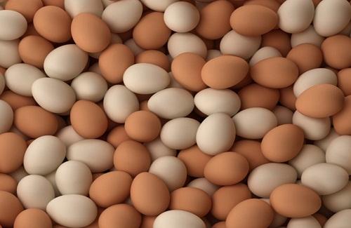 Cách phân biệt trứng gà giả và thật hiệu quả bạn nên chú ý