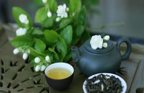 Tác dụng của trà hoa nhài đối với sức khỏe là gì bạn đã biết chưa?