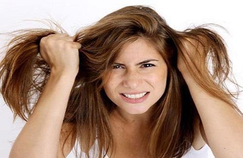 Chăm sóc tóc hư tổn bằng dầu oliu - Một cách chăm sóc tóc bạn không nên bỏ qua