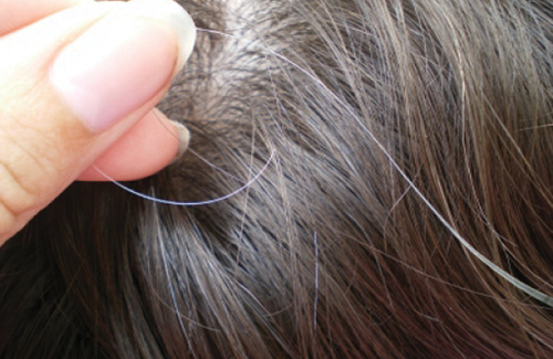 Chữa tóc bạc sớm hiệu quả với các loại thảo dược thiên nhiên