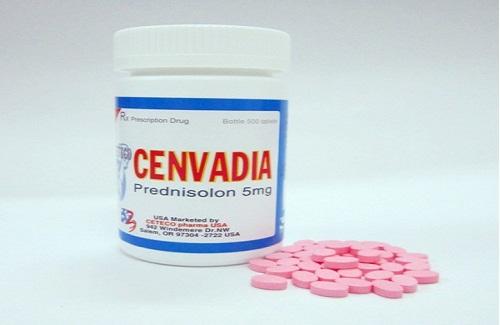 Ceteco cenvadia và một số thông tin cơ bản bạn nên biết