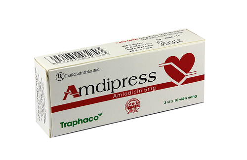 Amdipress và một số thông tin cơ bản bạn nên chú ý