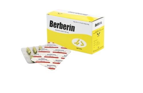 Berberin 100mg và một số thông tin cơ bản bạn nên biết