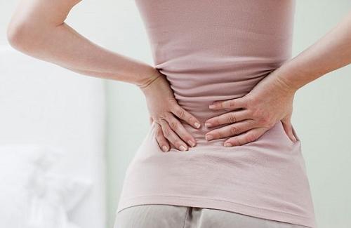 Bài thuốc chữa đau lưng bằng bầu dục hiệu quả không ngờ