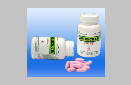 Amoxicillin 250mg và một số thông tin cơ bản về thuốc