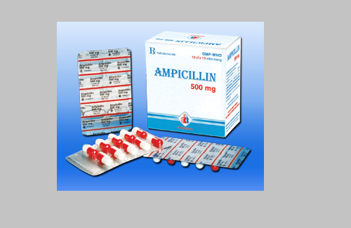 Ampicillin 500mg (đỏ - trắng) và một số thông tin cơ bản