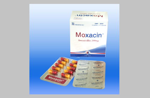 Moxacin 500mg (nâu - vàng) và một số thông tin cơ bản