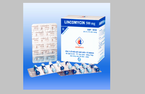 Lincomycin 500mg và một số thông tin cơ bản về thuốc